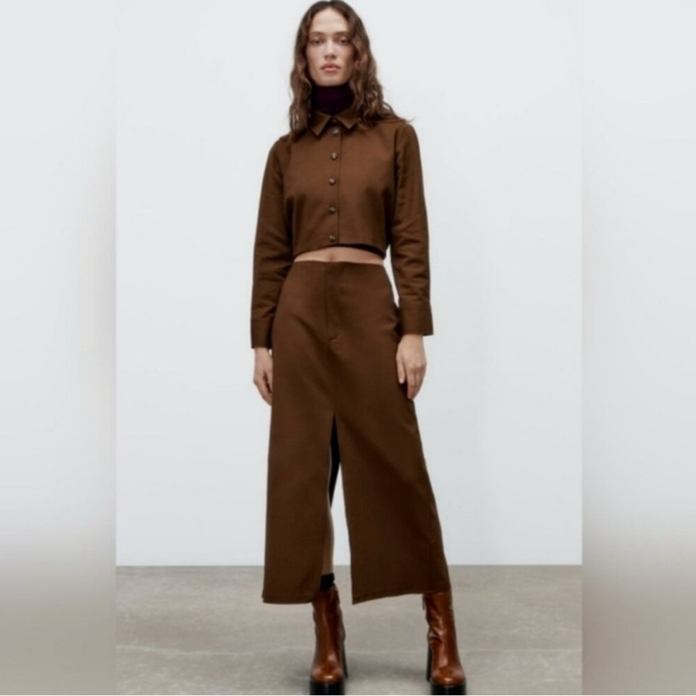 Zara Brown A-Line Skirt